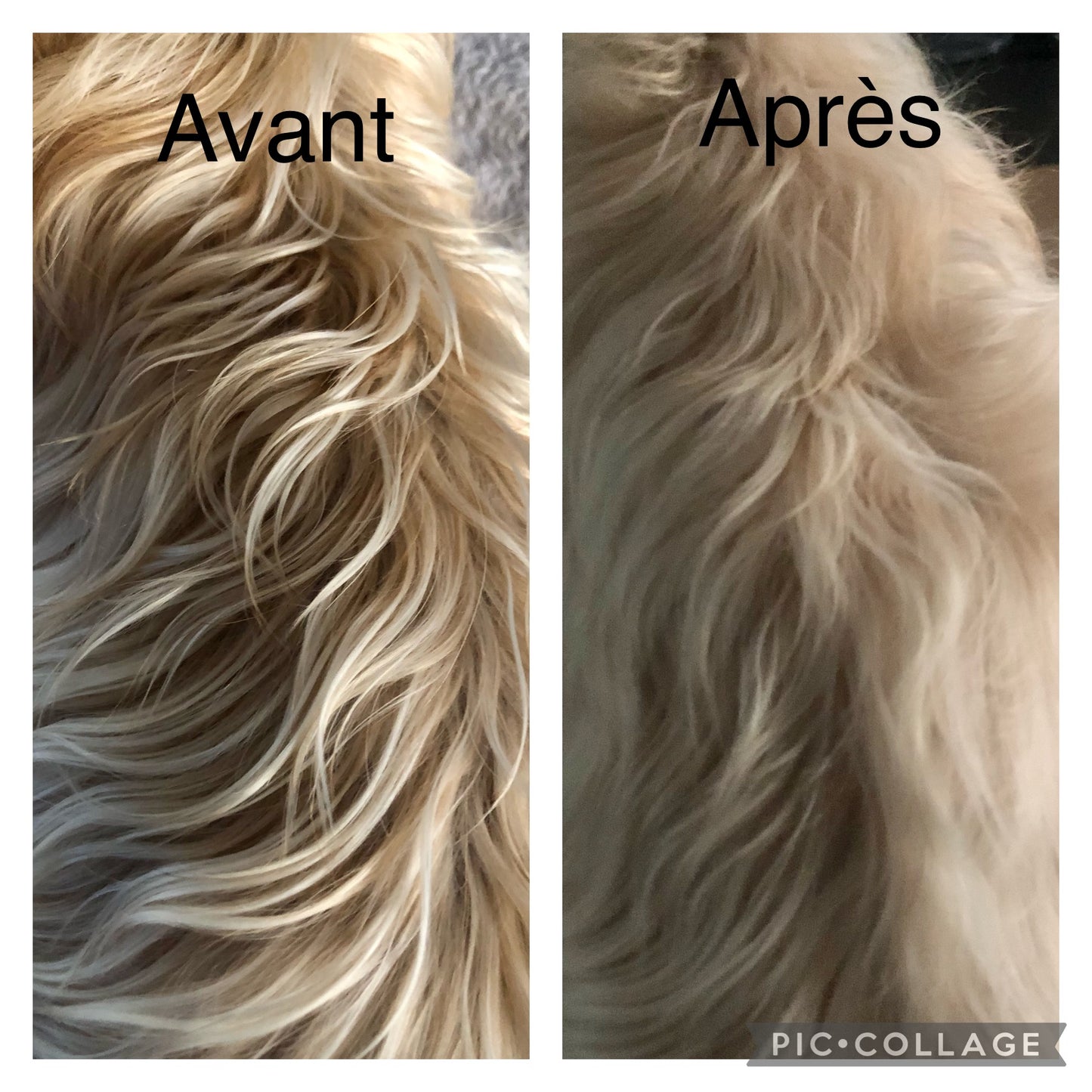 Shampoing sec démêlant naturel