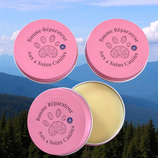 Baume de Réparation à la mangue