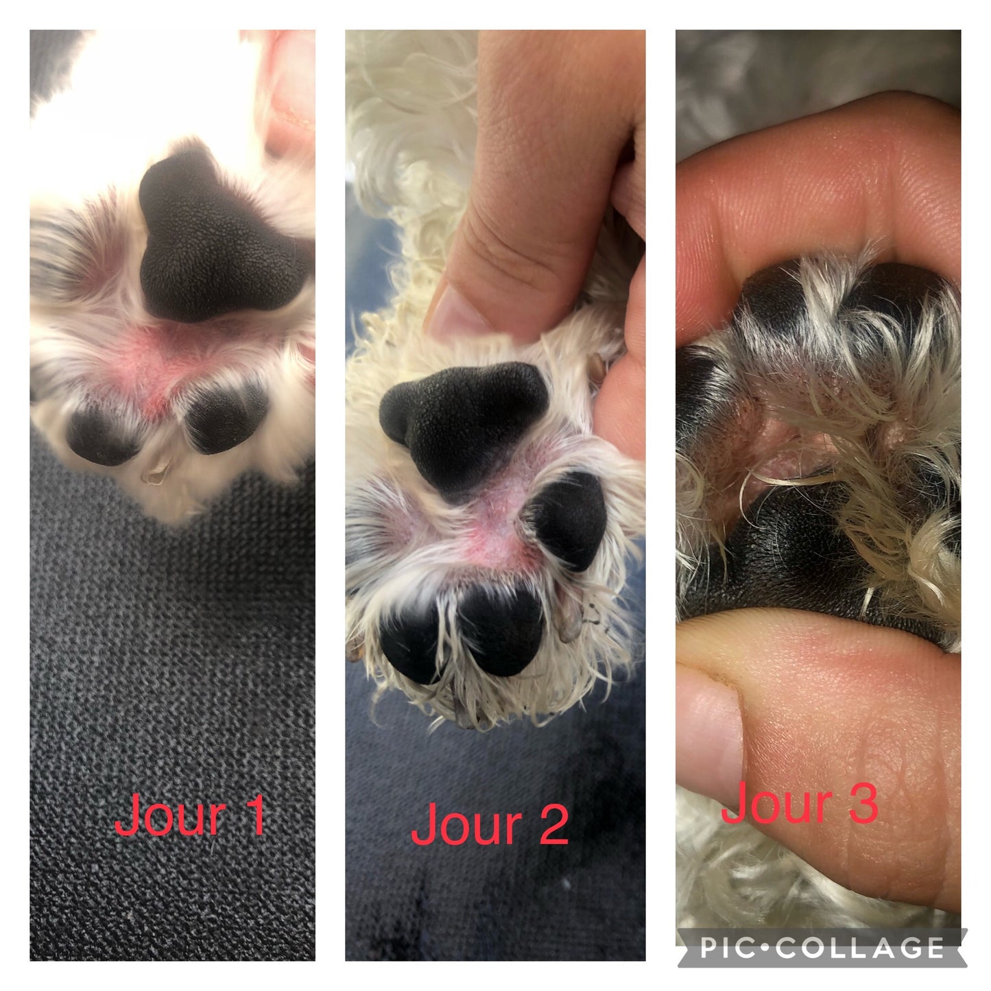 Baume de Réparation à la mangue