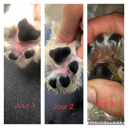 Baume de Réparation à la mangue