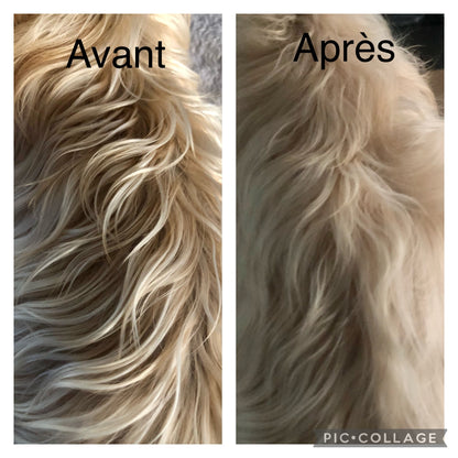 Shampoing sec démêlant naturel