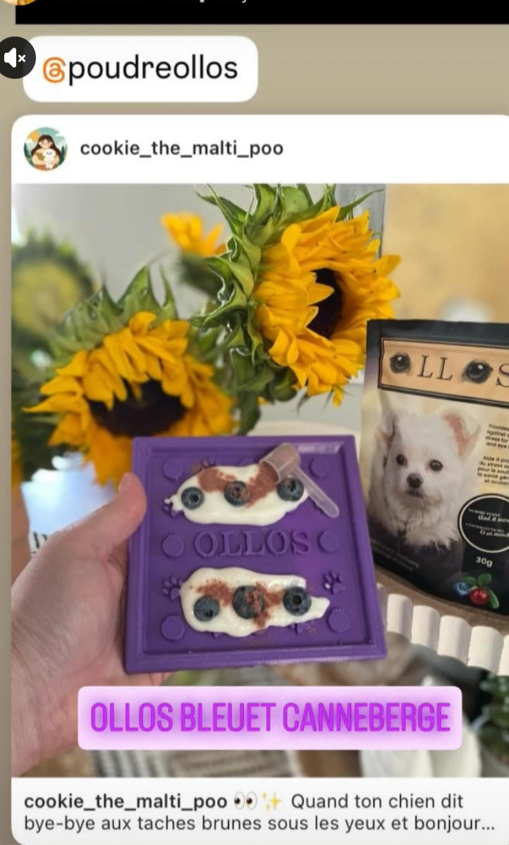 Tapis de léchage pour entreprise