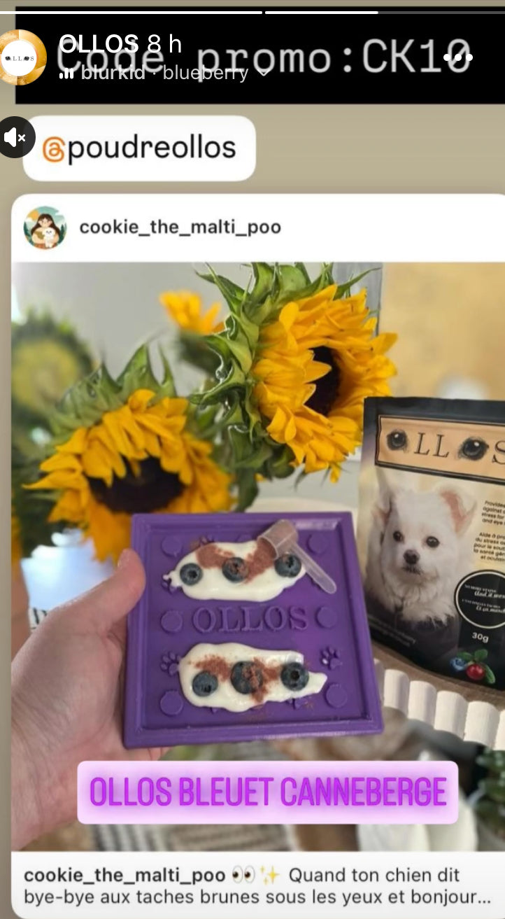 Tapis de léchage pour entreprise